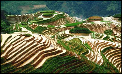 terrace 7  LongshengGuangxi.jpg
