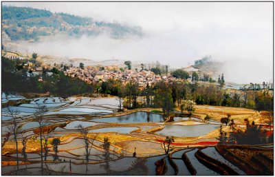 terrace 8   YuanyangYunnan.jpg