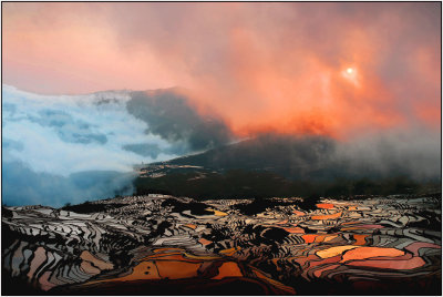 terrace 10 Duoyi Tree sunriseYuanyang.jpg