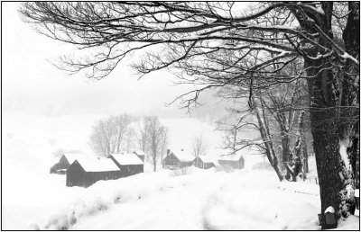 45 snow scene  winter in Jenne FarmVt.jpg