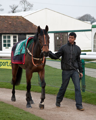 gouranga_wins_at_towcester