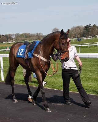 swing_state_chepstow_9-4-11