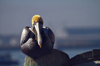 23089_90_91_HDR2.jpg