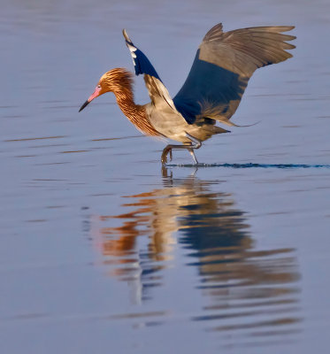 _MG_22881crop.jpg