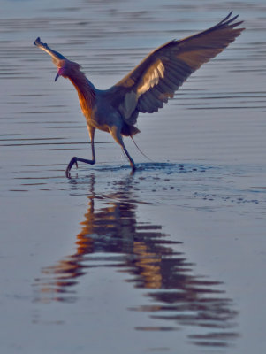 _MG_22929crop.jpg