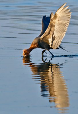 _MG_22935crop.jpg