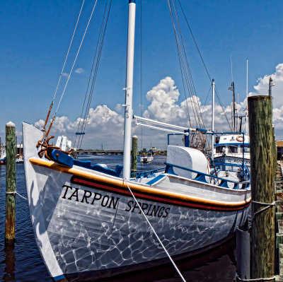 _MG_26499strong detail.jpg