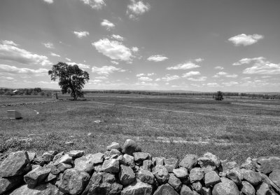 _MG_27796_7_8_tonemapped_bw.jpg
