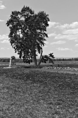 _MG_27854bw.jpg
