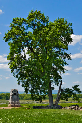 _MG_27854crop.jpg