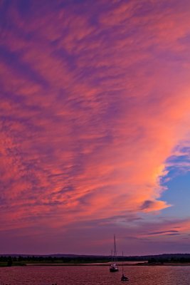 _MG_11040.jpg
