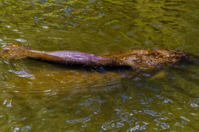 _MG_40767.jpg