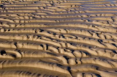 sand patterns3.jpg