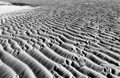 sand patterns5_bw.jpg