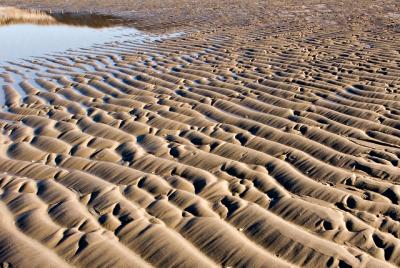 sand patterns5_crop.jpg