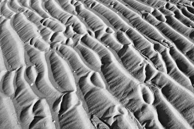 sand patterns6_bw.jpg