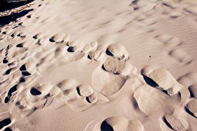 sandy footsteps.jpg