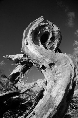 sculpture_in_nature