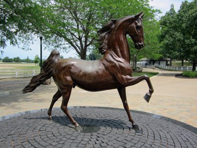 Kentucky horse park