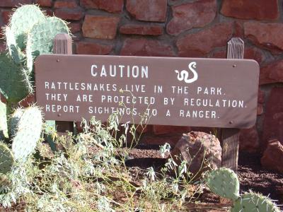 Don't bother the rattlesnakes