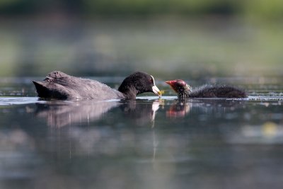 _MG_1539.jpg