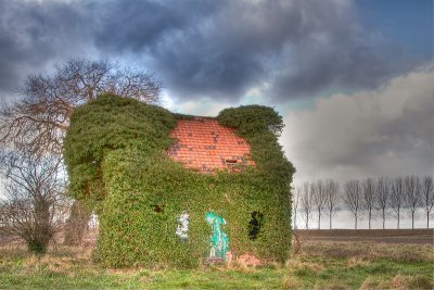 lonely_house_and_details