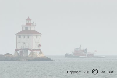 Fog