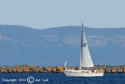 Sailing 009