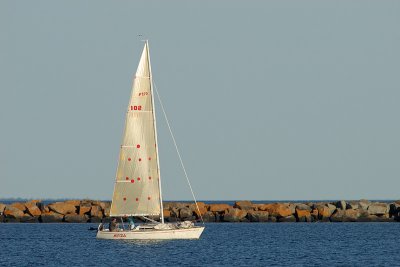 Sailing 023