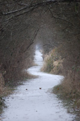 Long and Winding road