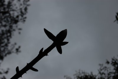 g4/74/971374/3/133662495.7ntFh5Ap.jpg