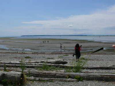 Crescent Beach