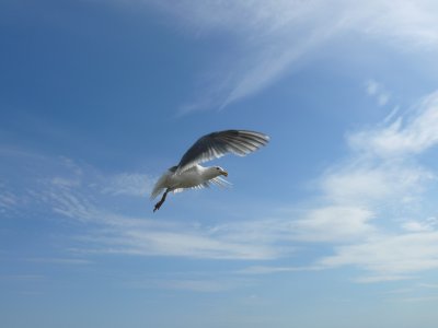 White Rock