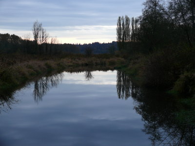 Still Creek at Dusk