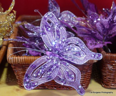 Butterfly decoration