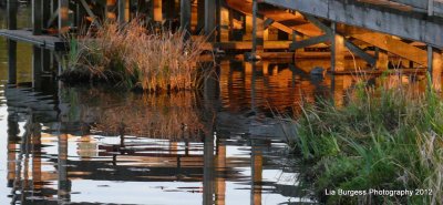 Under the dock, reflections