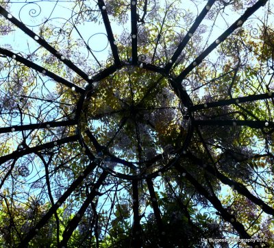 Gazebo roof