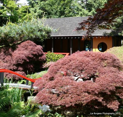Chinese Garden