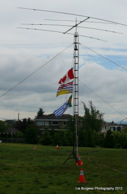 Flags on the Tower