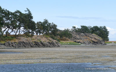 Flats at  Pipers Lagoon