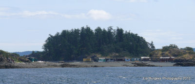 Shack Island