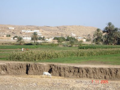 67.jpg