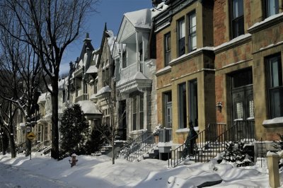 w_Ae0122_TOP3_Elm_Street_Westmount_Mtl.jpg