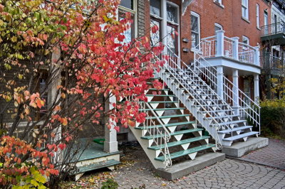 ZZzwPB_ASC6246p_TOP3pp_Autumn_with_stairways:Belle_facade_Montreal_Qc.jpg