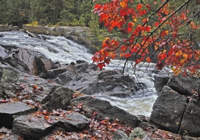 iwPBB_ASC4700_Parc_du_Mont-Tremblant_Qc_Can.jpg