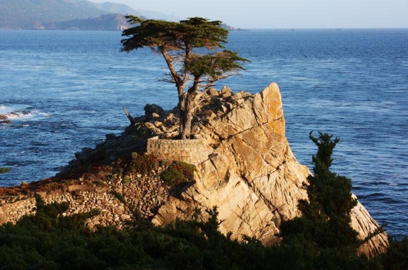 17-Mile Drive. The Lone Cypress