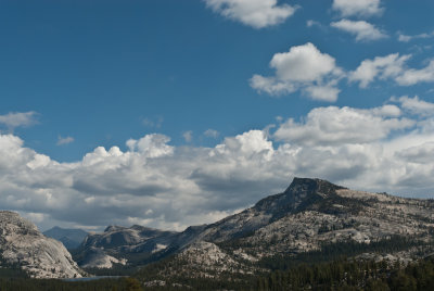 Tioga Road