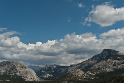 Tioga Road