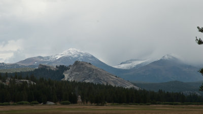 Tioga Road