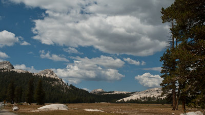 Tioga Road